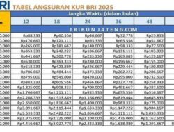 Tabel Angsuran KUR BNI November 2025: Pengajuan Online, Cicilan Ringan, Tenor Panjang