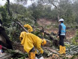 Bencana Banjir dan Longsor di Sumbar, Sumut, dan Aceh: Kebutuhan Pengakuan Bencana Nasional