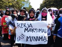 Akhir Perjalanan Honorer! Tenggat 2025 Makin Dekat, Ini 3 Jalan yang Menentukan Nasib Jutaan Pekerja