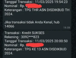 TPG THR Guru 2025 Belum Cair? Ini Tanda Dana Masih Bisa Cair Sampai 31 Desember