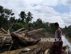 Saat Cuaca Disalahkan dan Hutan Terabaikan