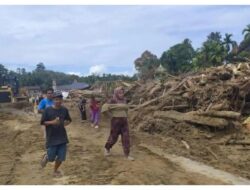 Bupati Tapsel Ungkap Penebang Pohon, Izin PHAT Kemenhut Disebut Seperti Karcis