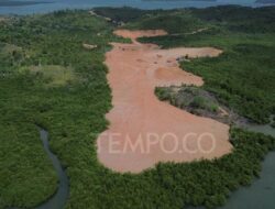 Pesisir rusak, nelayan Batam kehilangan penghasilan