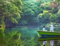 Telaga Remis: Danau Hijau yang Menyimpan Pesona Alam di Batas Kuningan-Cirebon