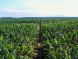 3 Saham Milik Haji Isam di BEI dan Nilai Kepemilikannya