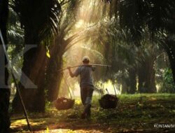Lirik Rekomendasi Saham CPO di Tengah Tantangan Akhir 2025