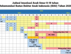 Jadwal KM Tilongkabila 4-31 Desember: 40 Rute, Tiba di Labuan Bajo 8,12,22,26