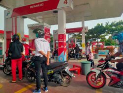 PT Semen Padang Tanam 10 Ribu Bibit Kaliandra Perbaiki Ekologi PascaBencana