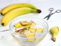 7 Tanaman yang Tumbuh Baik dengan Kompos Kulit Pisang