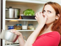 Jangan Tunda! 10 Tanda Kulkas Perlu Dibersihkan