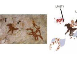 Indonesia Pecahkan Rekor, Gambar Cadas Sulawesi Tertua Dunia 67.800 Tahun