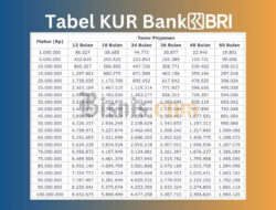 KUR BRI 2026: Cicilan Pinjaman Rp500 Juta