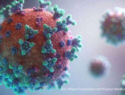 Nipah India Mengancam: Virus Mematikan Tanpa Obat, Bagaimana di RI?