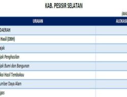 Tangerang Selatan Terima Dana Transfer 2025 Rp 1,4 Triliun, DAU Terbesar