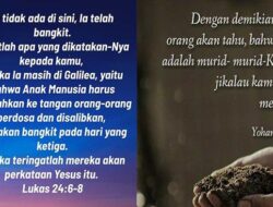 Renungan Harian Kristen 11 Januari 2026: Mengapa Mencari Yesus?