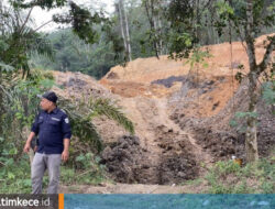 5 Fakta Hutan Kota Tangap Berau yang Viral, Kolam Tambang Jadi Sorotan
