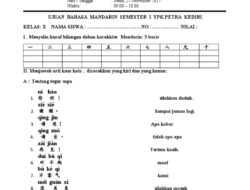 Soal Esai Bahasa Mandarin Kelas 11 Semester 2 Kurikulum Merdeka 2026