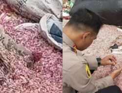 Ternyata, ini sanksi jika temuan karung uang Rp100 ribu terbukti dihancurkan