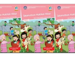 Kunci jawaban tema 1 kelas 6 halaman 40-42: Proses perkembangbiakan jagung