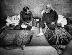 5 Fakta Menarik Siwak, Sikat Gigi Alami dari Tanaman Tradisional