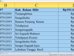 Rincian Dana Desa 2026 Kabupaten Rokan Hilir, Riau untuk 159 Desa