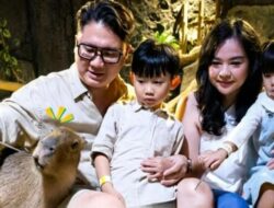 Harga Tiket Jakarta Aquarium Safari Maret 2026 dengan Diskon 30 Persen