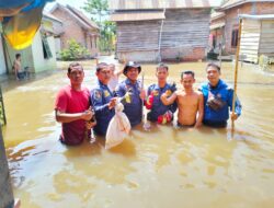 Situasi dramatis ular king kobra masuk rumah warga di Sungai Loban Tanahbumbu Kalsel