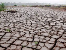 El Nino Raksasa