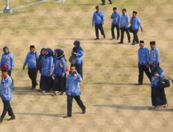 Dua Pilihan: Tambah DAU atau PPPK Jadi PNS