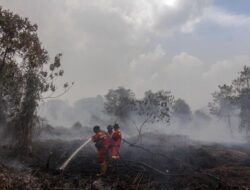 Selamat Datang Musim Kabut Asap Riau