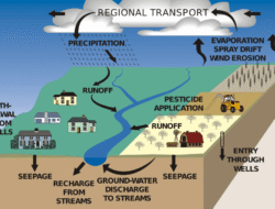 Mengenal Daur Biogeokimia, Siklus Kehidupan yang Penting