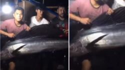 Aksi warga Balikpapan tangkap ikan layaran viral di Manggar