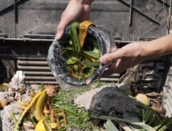 Ekosistem Mikro BRI Bangun Bisnis Nasabah PNM Mekaar