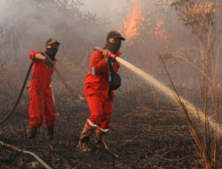 Risiko kebakaran hutan meningkat tahun ini akibat kemarau panjang dan kering