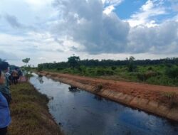 Ketua Golkar Bangka Selatan, Rina Tarol Kembangkan Struktur Hingga Desa